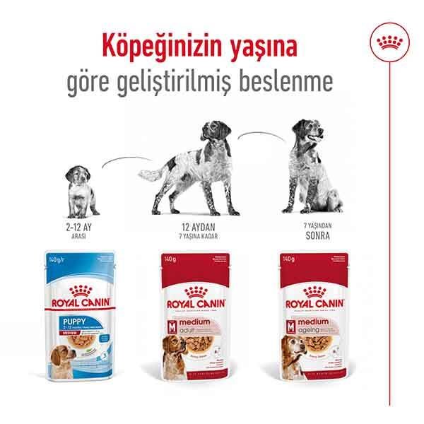 Royal Canin Medium Adult Yaş Köpek Maması 140 gr - 8