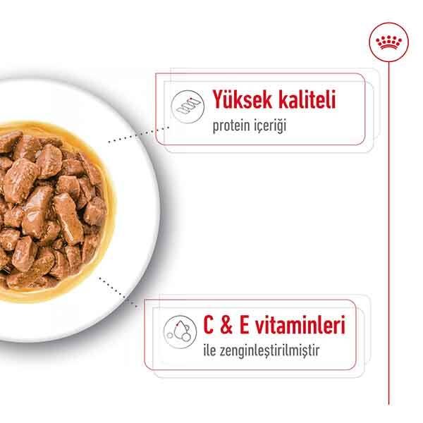 Royal Canin Medium Adult Yaş Köpek Maması 140 gr - 5