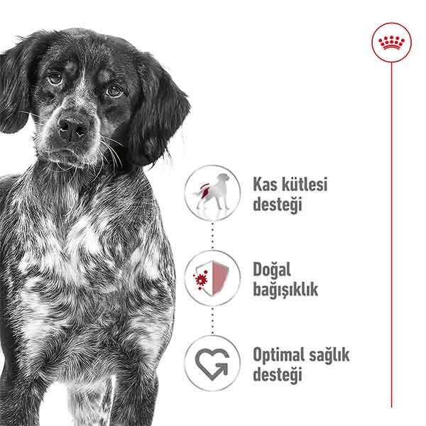 Royal Canin Medium Adult Yaş Köpek Maması 140 gr - 4