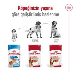 Royal Canin Medium Adult Yaş Köpek Maması 140 gr - 8