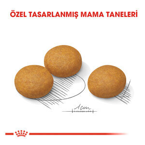 Royal Canin Medium Dermacomfort Yetişkin Köpek Maması 12 kg - 2