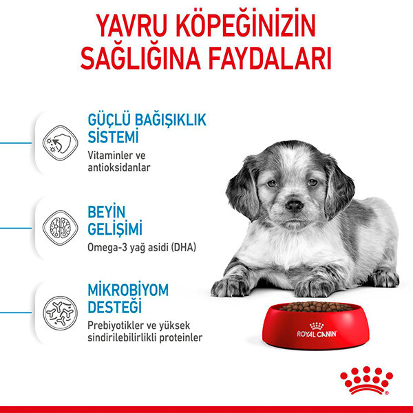 Royal Canin Medium Puppy Orta Irk Yavru Köpek Maması 4 kg - 4