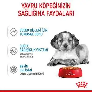 Royal Canin Medium Puppy Yaş Yavru Köpek Maması 140 gr - 4