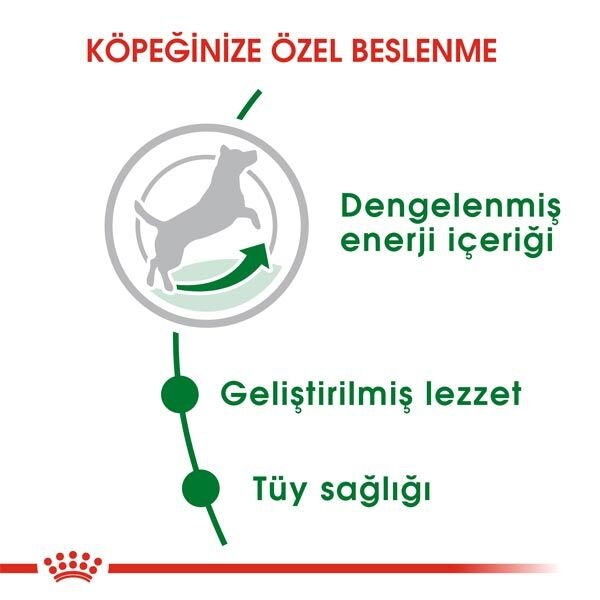 Royal Canin Mini Adult Köpek Maması 2 KG - 4