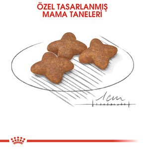 Royal Canin Mini Adult Köpek Maması 4 KG - 2