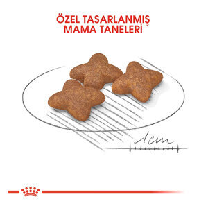 Royal Canin Mini Adult Köpek Maması 4 KG - 2
