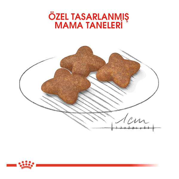 Royal Canin Mini Adult Köpek Maması 4 KG - 2