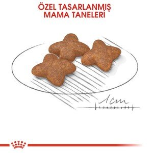 Royal Canin Mini Adult Köpek Maması 8 KG - 4