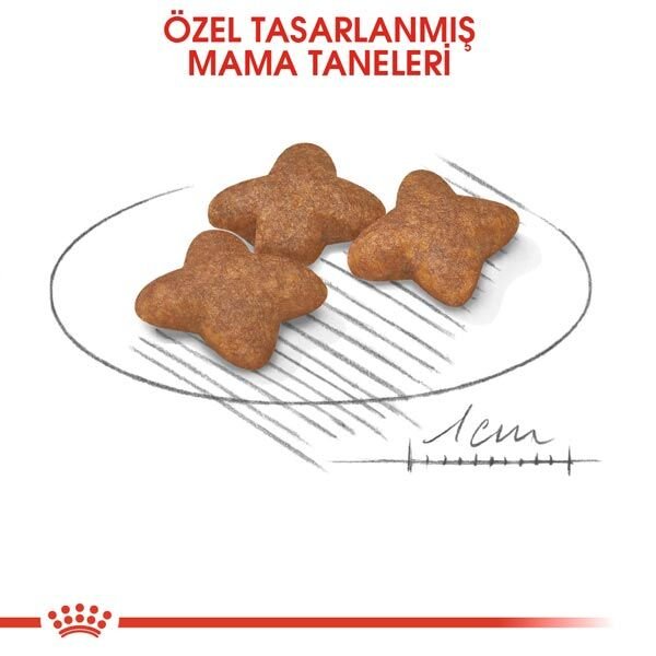 Royal Canin Mini Adult Köpek Maması 8 KG - 4