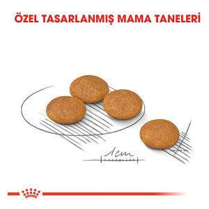 Royal Canin Mini Dermacomfort Köpek Maması 3 KG - 2