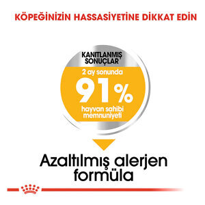 Royal Canin Mini Dermacomfort Köpek Maması 3 KG - 3