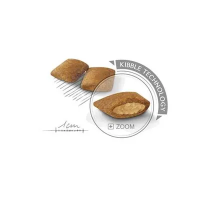 Royal Canin Mini Exigent Köpek Maması 3 KG - 3