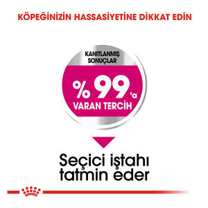 Royal Canin Mini Exigent Köpek Maması 3 KG - 3