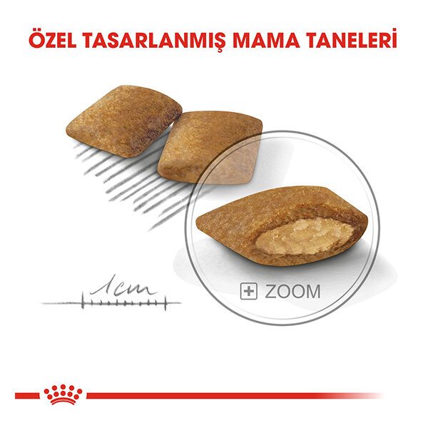 Royal Canin Mini Exigent Köpek Maması 3 KG - 2