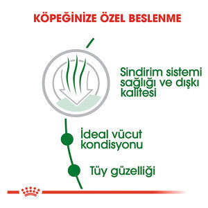 Royal Canin Mini Indoor Küçük Irk Köpek Maması 1.5 kg - 3