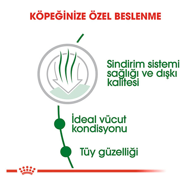 Royal Canin Mini Indoor Küçük Irk Köpek Maması 1.5 kg - 3