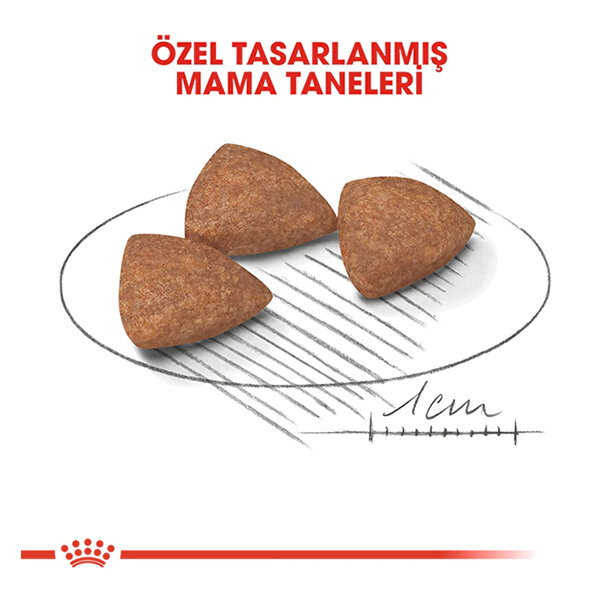 Royal Canin Mini Indoor Küçük Irk Köpek Maması 1.5 kg - 2