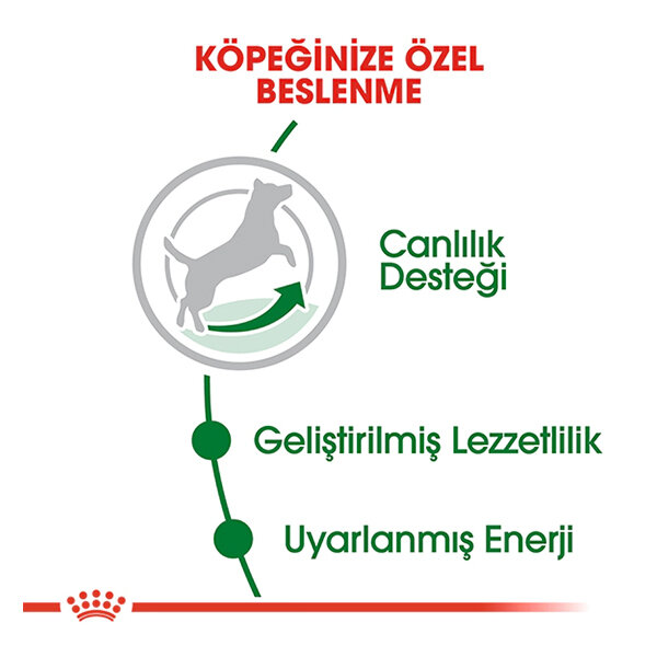 Royal Canin Mini Irk Yaşlı Köpek Maması 2 KG - 3