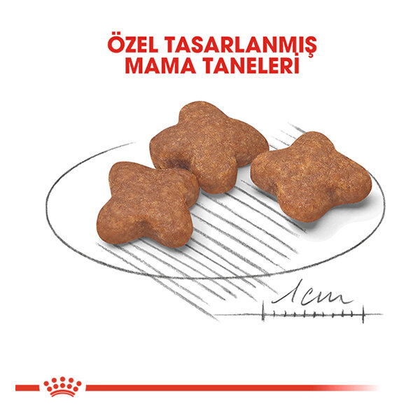 Royal Canin Mini Irk Yaşlı Köpek Maması 2 KG - 2