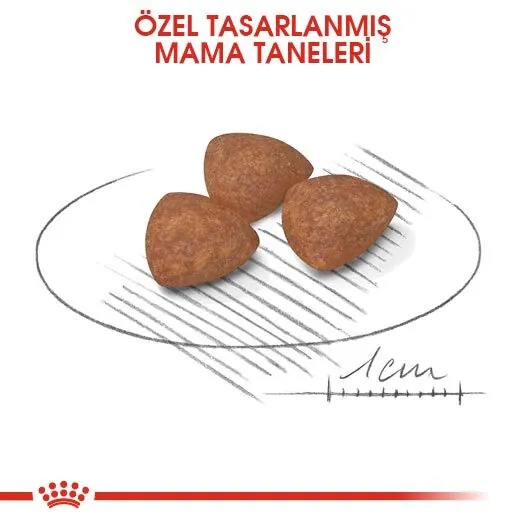 Royal Canin Mini Puppy Yavru Köpek Maması 2 KG - 2