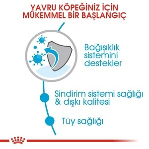 Royal Canin Mini Puppy Yavru Köpek Maması 2 KG - 3