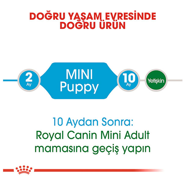 Royal Canin Mini Puppy Yavru Köpek Maması 2 KG - 3