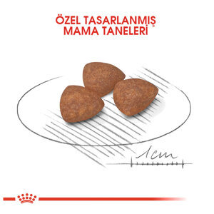 Royal Canin Mini Puppy Yavru Köpek Maması 2 KG - 2