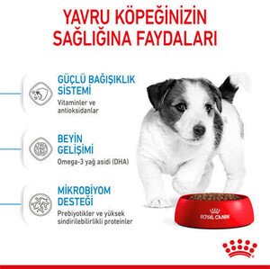 Royal Canin Mini Puppy Yavru Köpek Maması 4 KG - 5