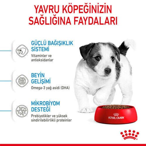 Royal Canin Mini Puppy Yavru Köpek Maması 4 KG - 5