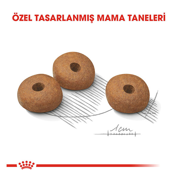 Royal Canin Mini Light Köpek Maması 3 Kg - 2