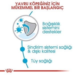 Royal Canin Mini Puppy Yaş Köpek Maması 85 gr - 3