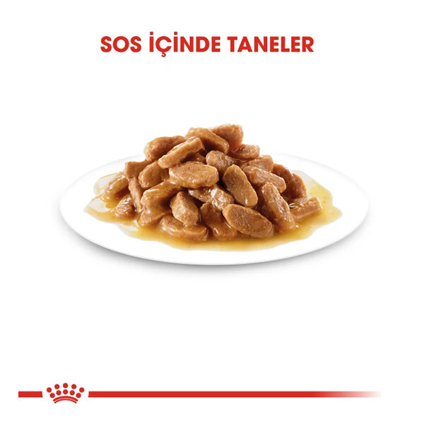 Royal Canin Mini Puppy Yaş Köpek Maması 85 gr - 2