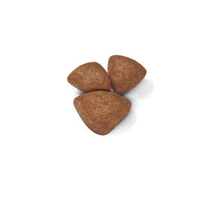 Royal Canin Mini Starter Köpek Maması 4 Kg - 4