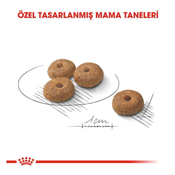 Royal Canin Mini Sterilised Kısırlaştırılmış Köpek Maması 3 Kg - 2