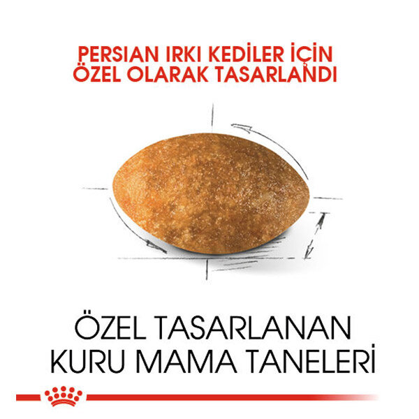 Royal Canin Persian Kedi Maması 2 KG - 2