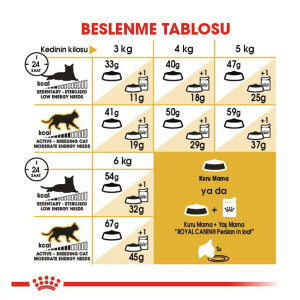 Royal Canin Persian Kedi Maması 4 KG - 3