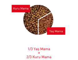 Royal Canin Persian Yaş Kedi Maması 85 GR - 5