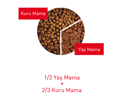 Royal Canin Persian Yaş Kedi Maması 85 GR - 5