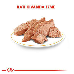 Royal Canin Persian Yaş Kedi Maması 85 GR - 2