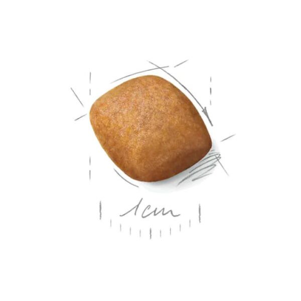 Royal Canin Pomeranian Köpek Maması 1.5 kg - 2