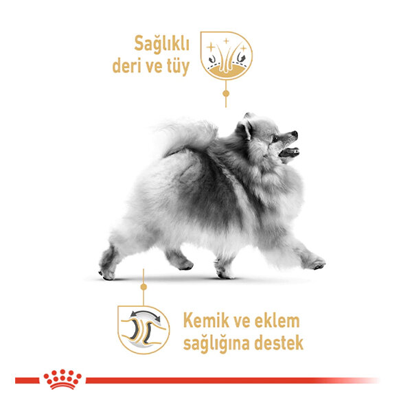 Royal Canin Pomeranian Köpek Maması 3 KG - 4