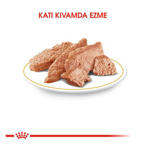 Royal Canin Pomeranian Yaş Mama 85 gr - 2