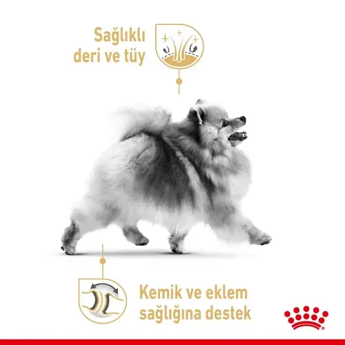 Royal Canin Pomeranian Yaş Maması 85 gr*12 Adet - 2