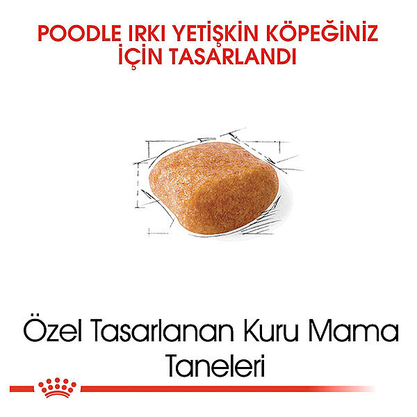 Royal Canin Poodle Köpek Maması 3 KG - 2