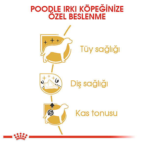 Royal Canin Poodle Köpek Maması 3 KG - 3