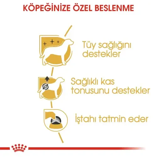 Royal Canin Poodle Yaş Maması 85 gr*12 Adet - 2