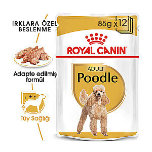 Royal Canin Poodle Yaş Maması 85 gr*12 Adet
