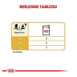Royal Canin Poodle Yaş Maması 85 gr*12 Adet - 5