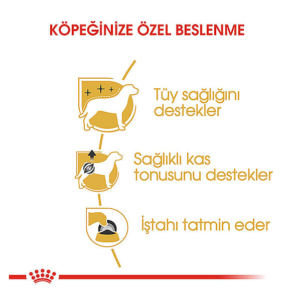 Royal Canin Poodle Yaş Maması 85 gr*12 Adet - 4