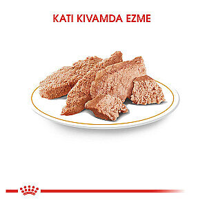Royal Canin Poodle Yaş Maması 85 gr*12 Adet - 2